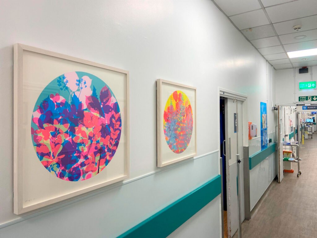 Serigrafías florales de colores instaladas en un pasillo del St Mary’s Hospital de Londres.